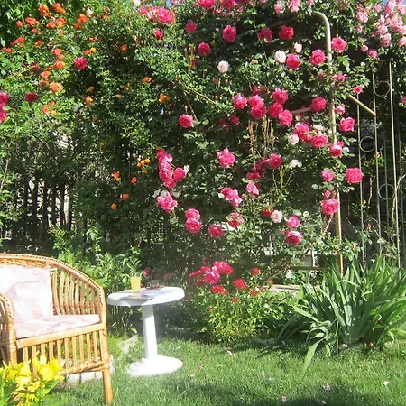 Guest House Bankya * Bankya