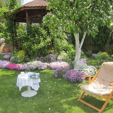 Guest House Bankya Affittacamere *